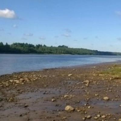 ВОСВОД Ярославль: В Рыбинском районе нашли утонувшего человека...